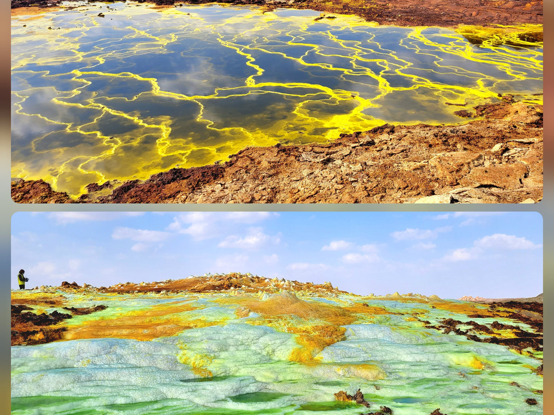 Bale Mountains Eco Trekking Tours景点图片