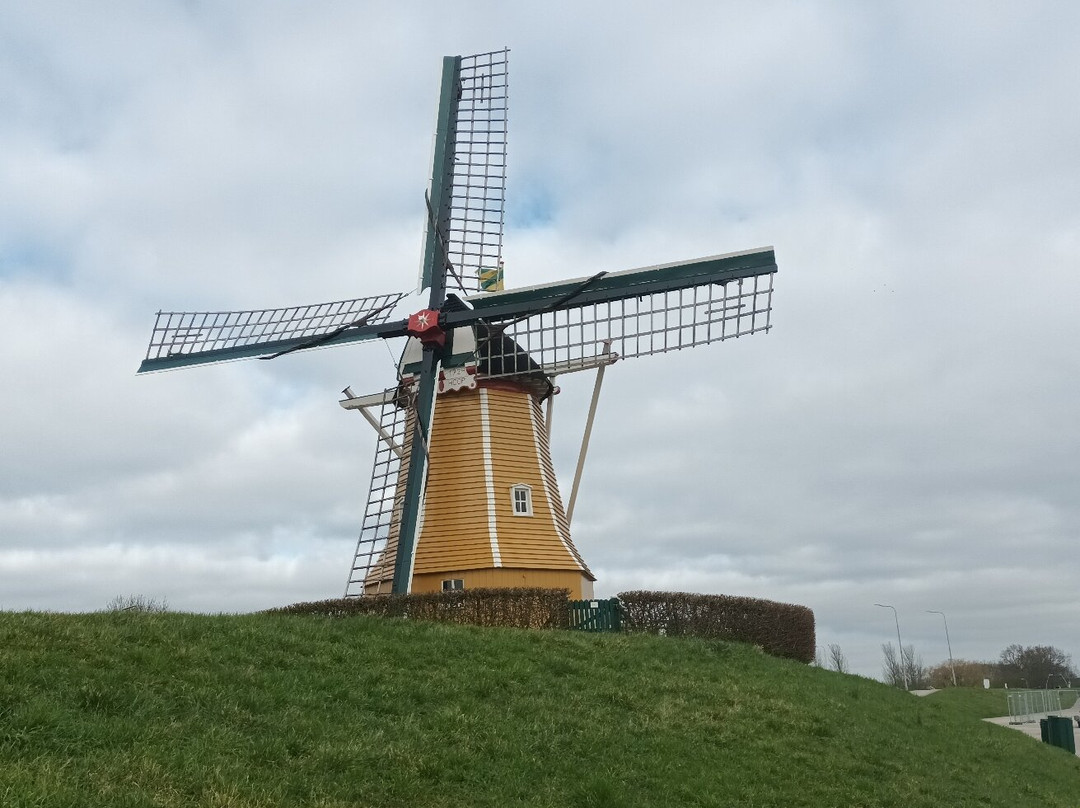 Korenmolen 'De Hoop'-Sint Philipsland必去景点