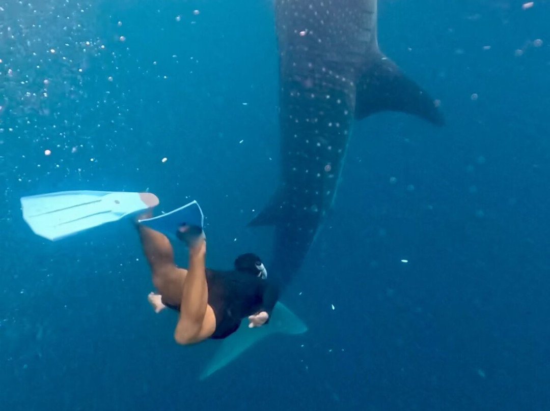 The Langkah Travel-Sumbawa Besar必去景点