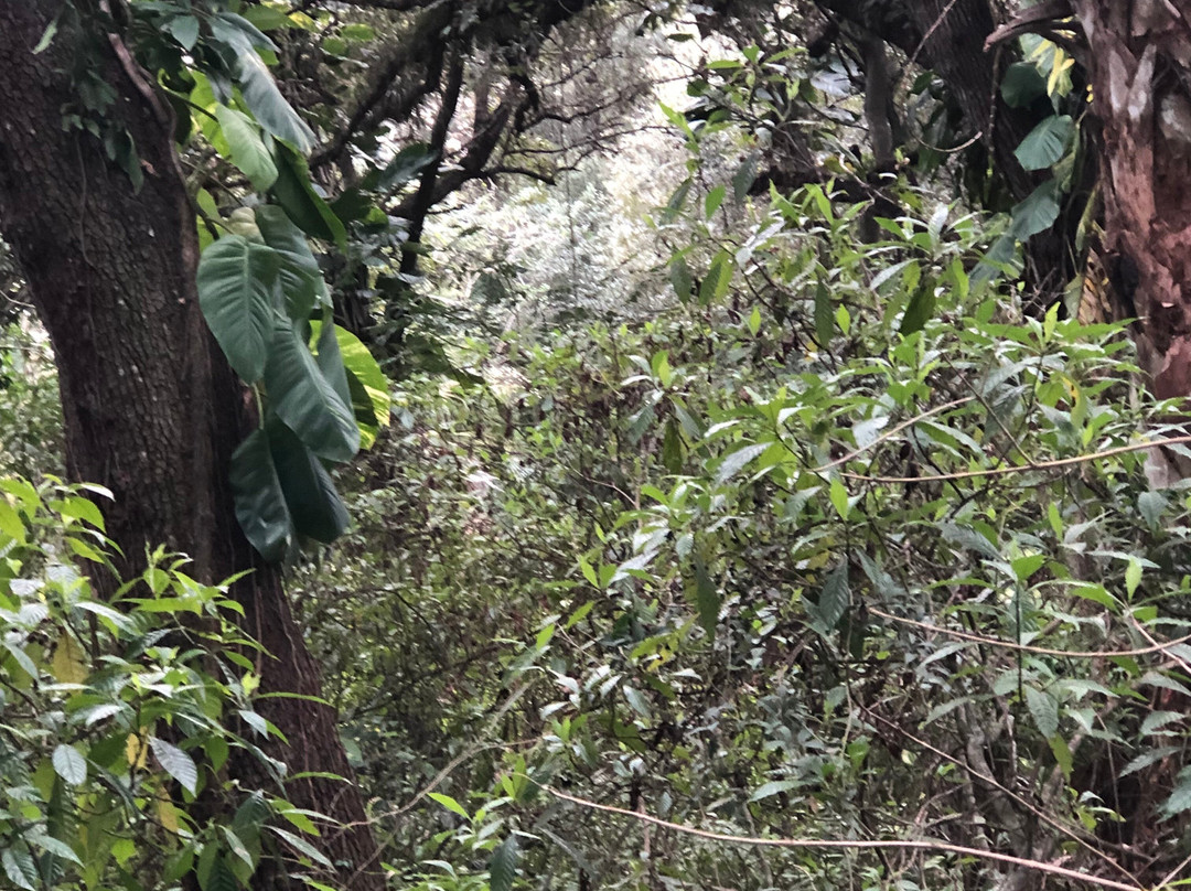 Long Key Natural Area & Nature Center景点图片