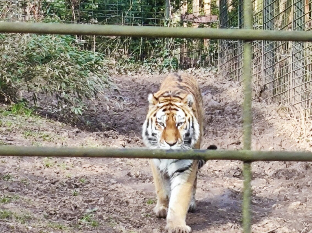 Tierpark Chemnitz-开姆尼斯必去景点