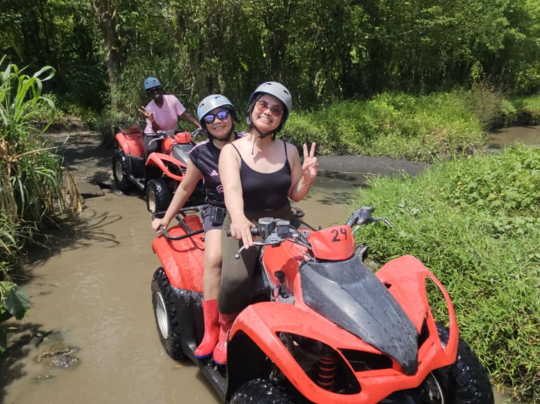 Segare Bali Tour - Private Day Tours-登巴萨必去景点