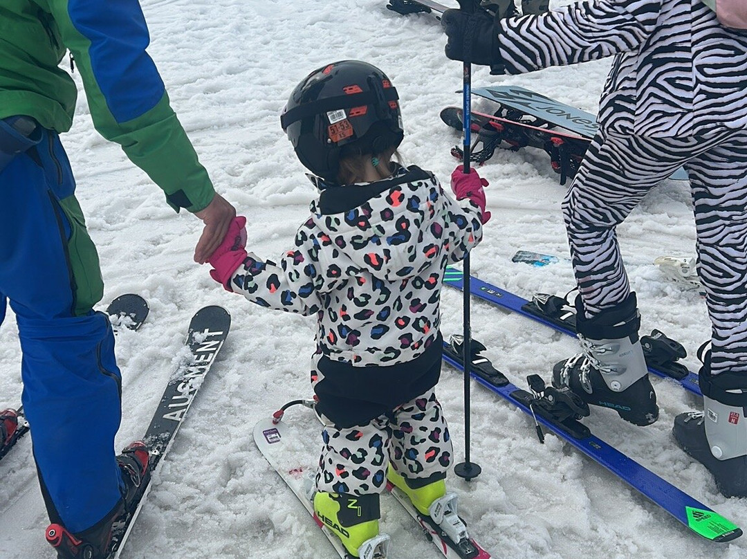 Ski With Ease景点图片