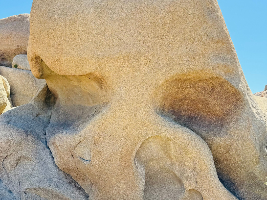 Skull Rock-约书亚树国家公园必去景点