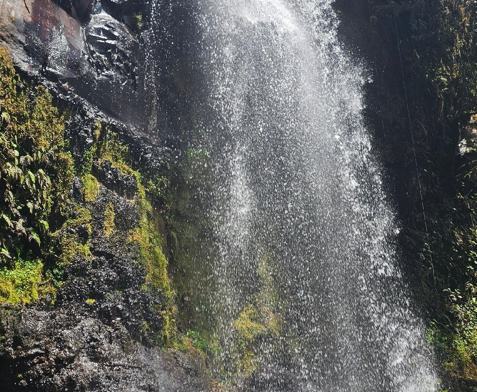 The Lost Waterfalls-Boquete景点图片
