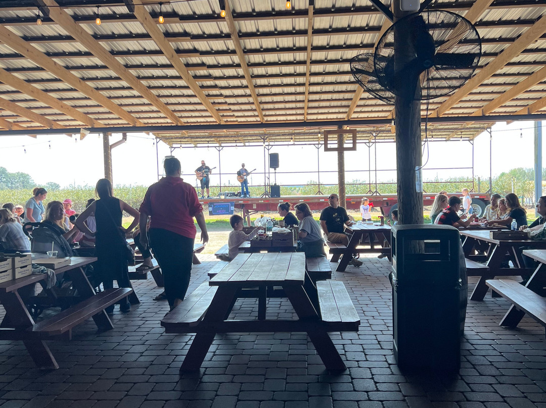 Southern Hill Farms-Clermont必去景点