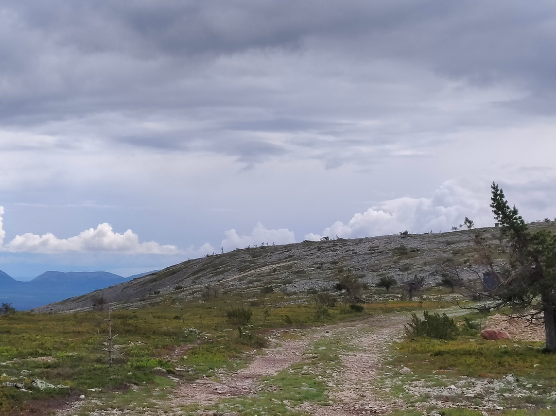 Uniq Lapland-Luosto必去景点