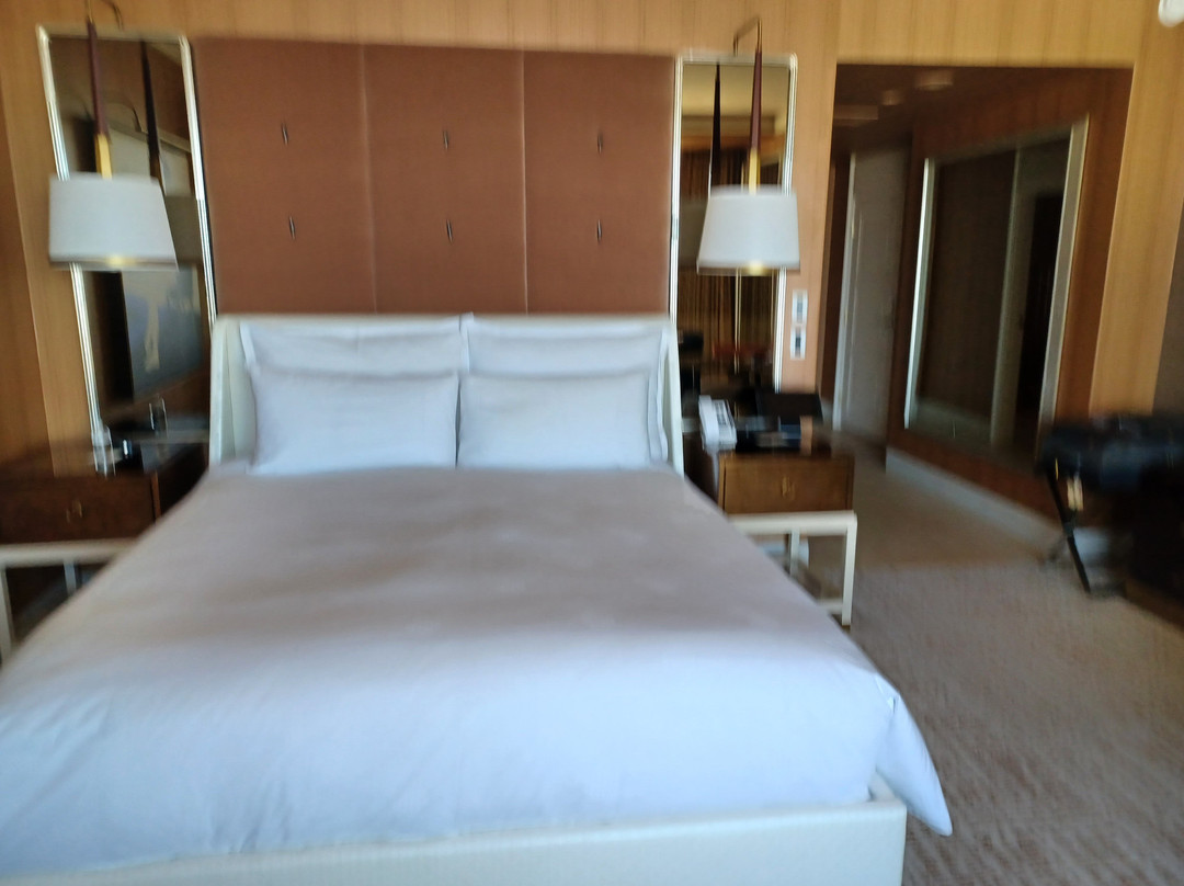 拉斯维加斯永利酒店主图