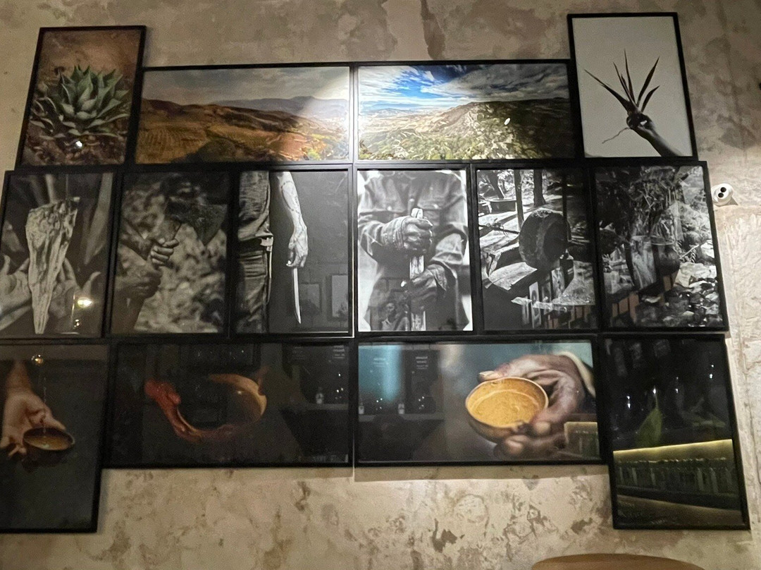 Xoul Art & Mezcal-巴利亚多利德必去景点