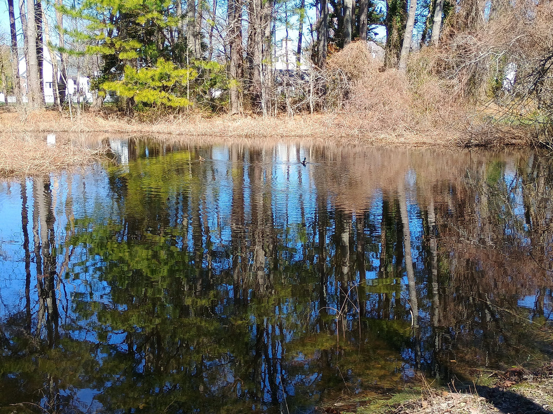 Stephen Decatur Park-Berlin必去景点