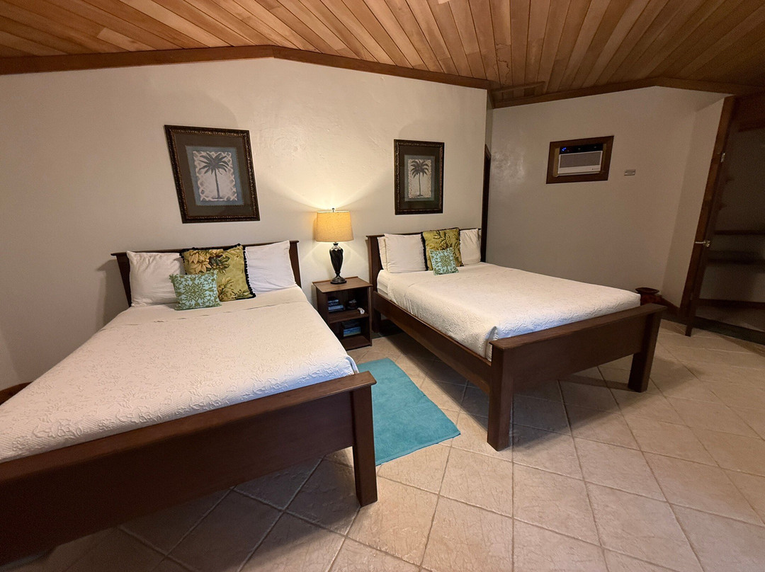 Tranquilo Bay Eco Adventure Lodge主图