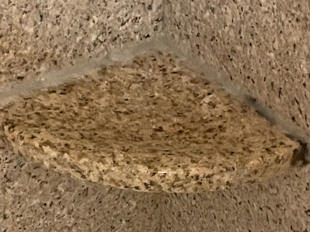 Holiday Inn Express & Suites Altus By IHG主图