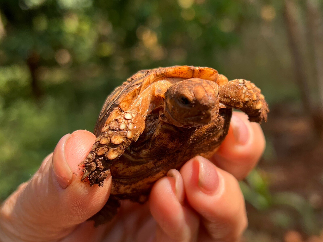 Kilimanjaro Cultural Experience-乞力马扎罗山国家公园必去景点
