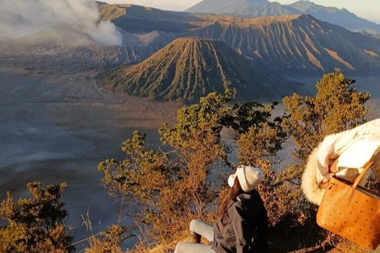 Bromo Java View
