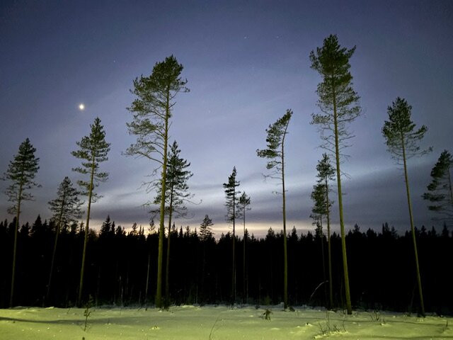 Långforsen Restaurang & Glamping