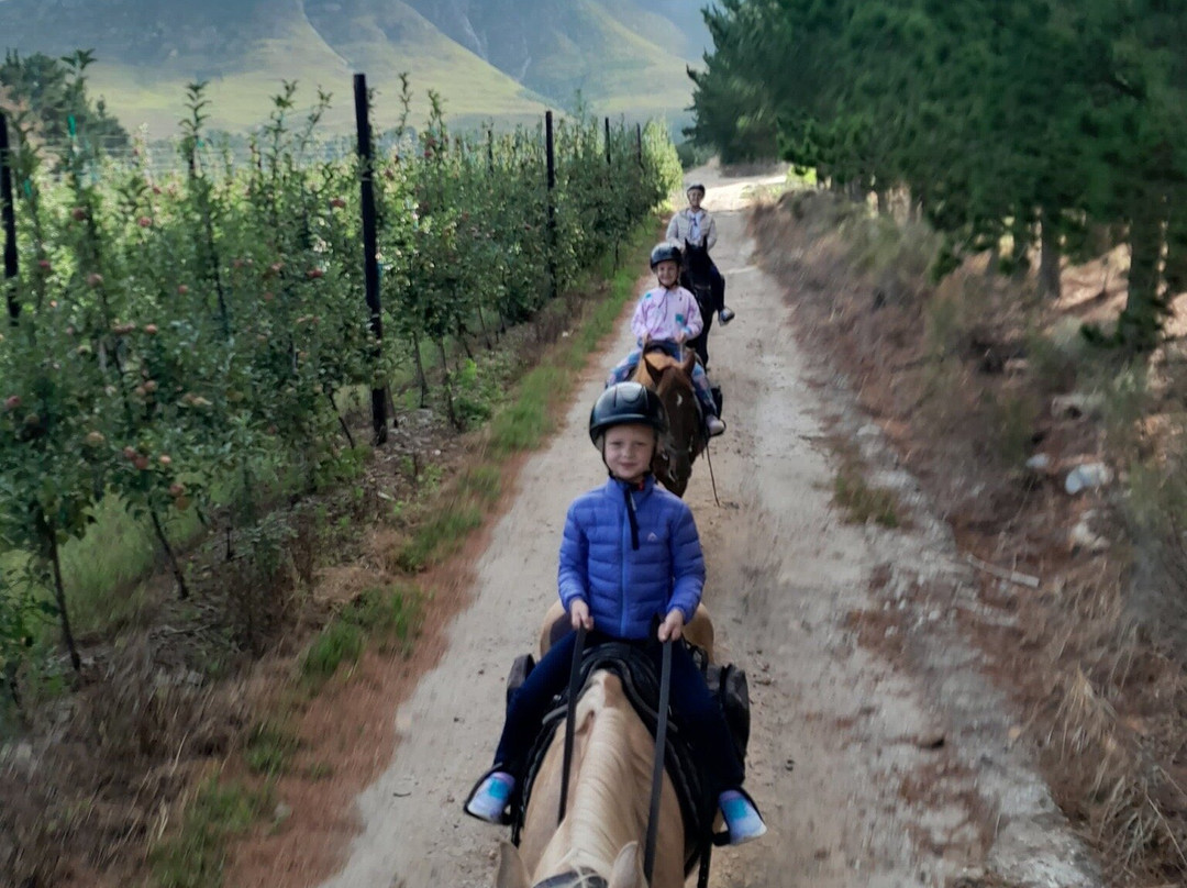 Heaven and Earth Trails-赫曼努斯必去景点