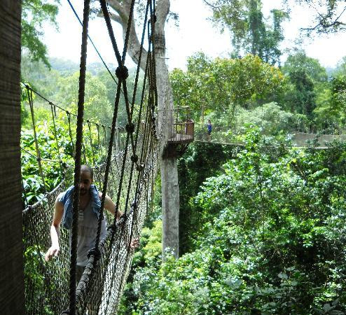 The Almond Tree Guest House主图