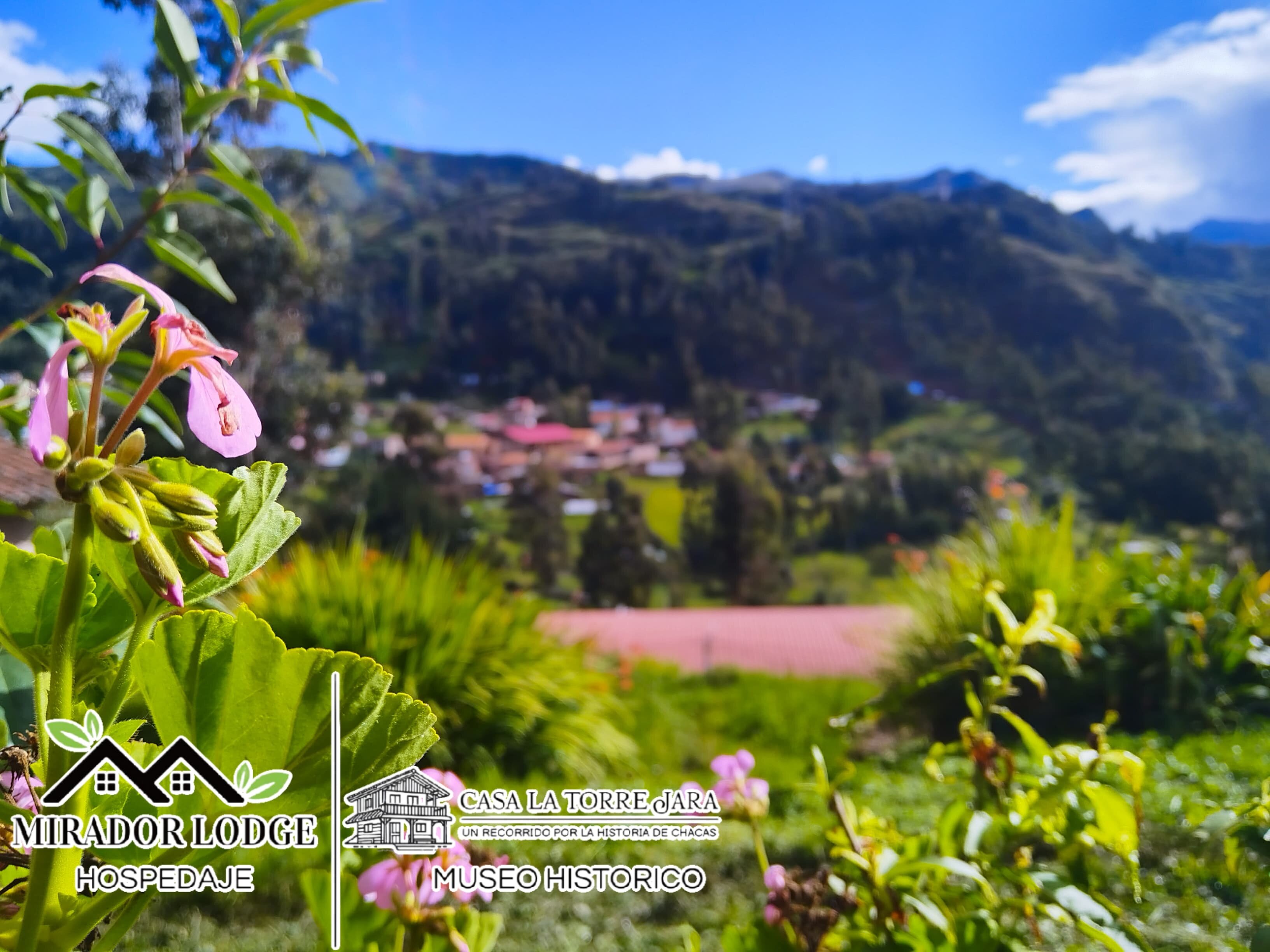 Mirador Lodge-酒店景观