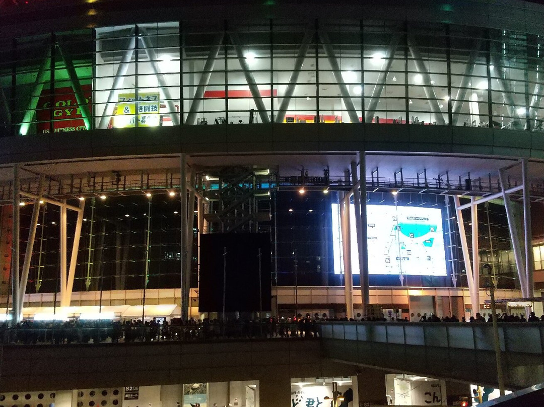 Saitama Super Arena-埼玉市必去景点