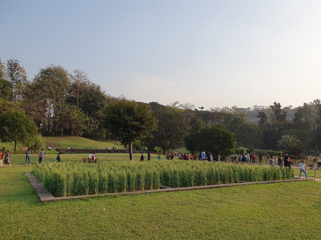 Pune-Okayama Friendship Garden景点图片