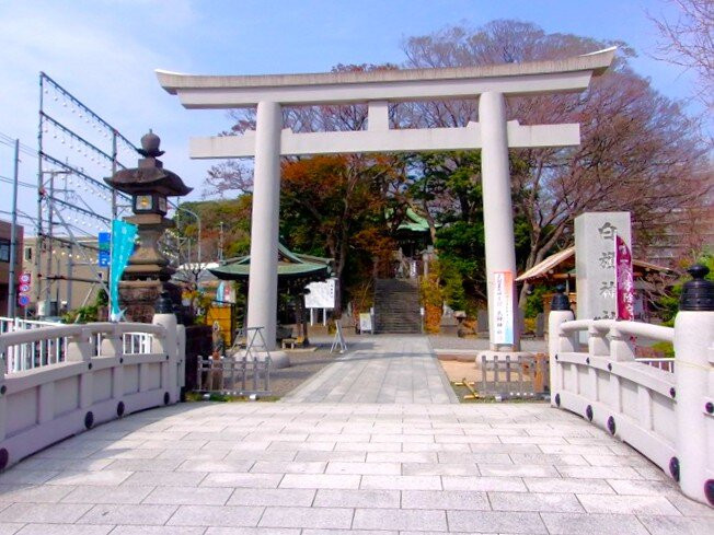 Shirahata Shrine-藤泽市必去景点