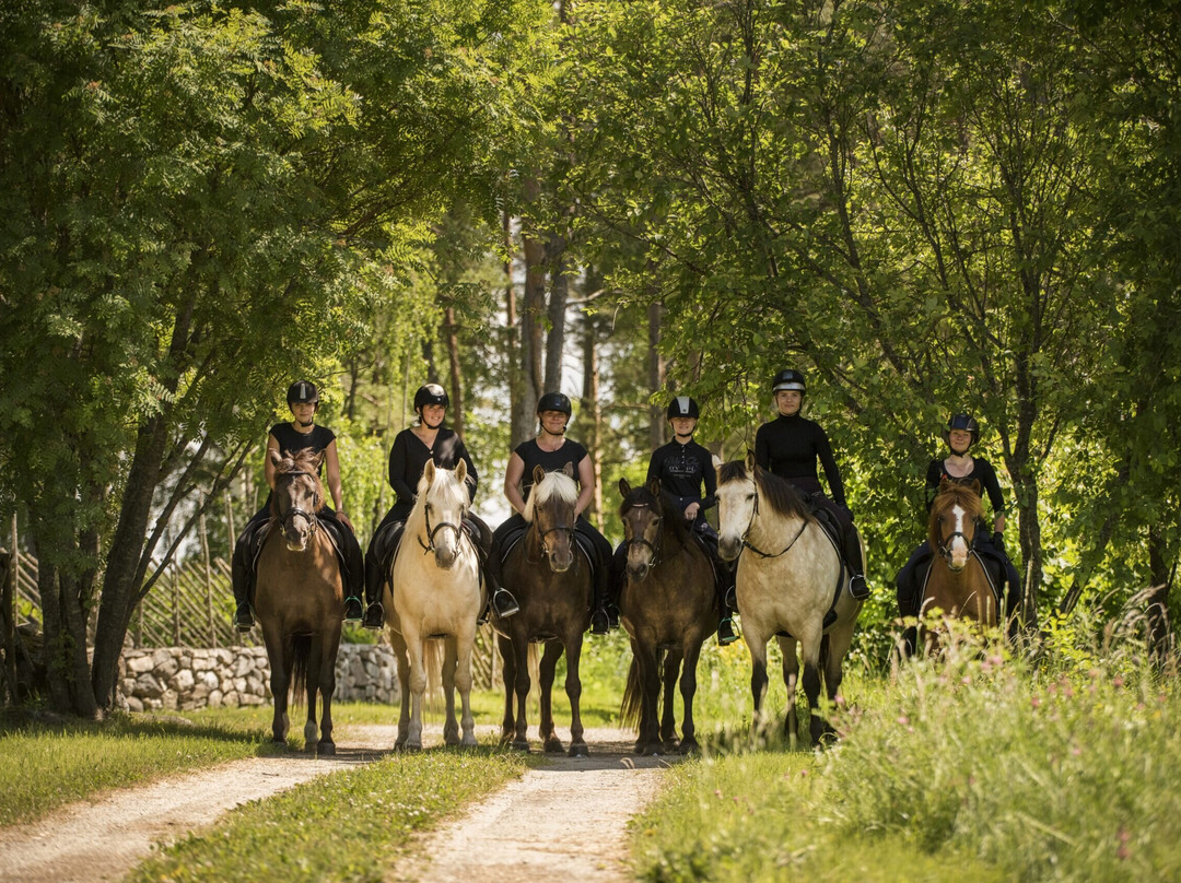 Tihuse Horse Tourism Farm