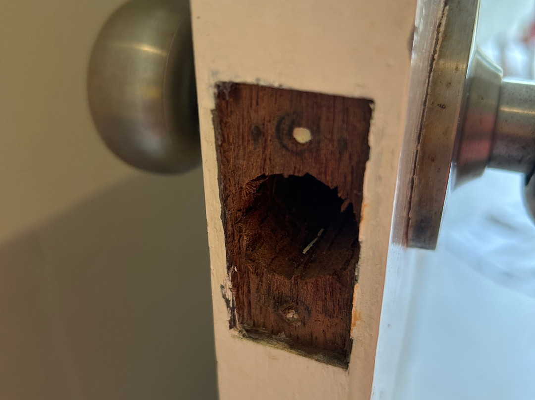 Diving Centers Werner Lau-Hon'daafushi必去景点