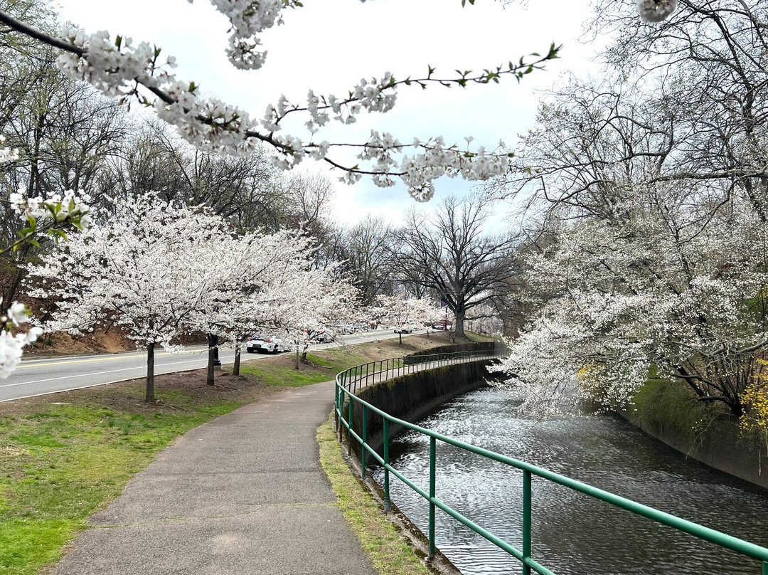 Branch Brook Park景点图片