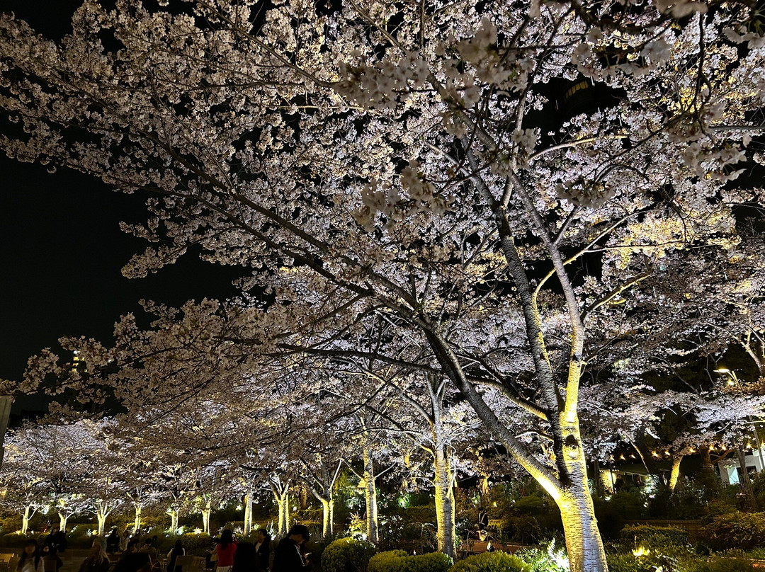 Tokyo Midtown Garden