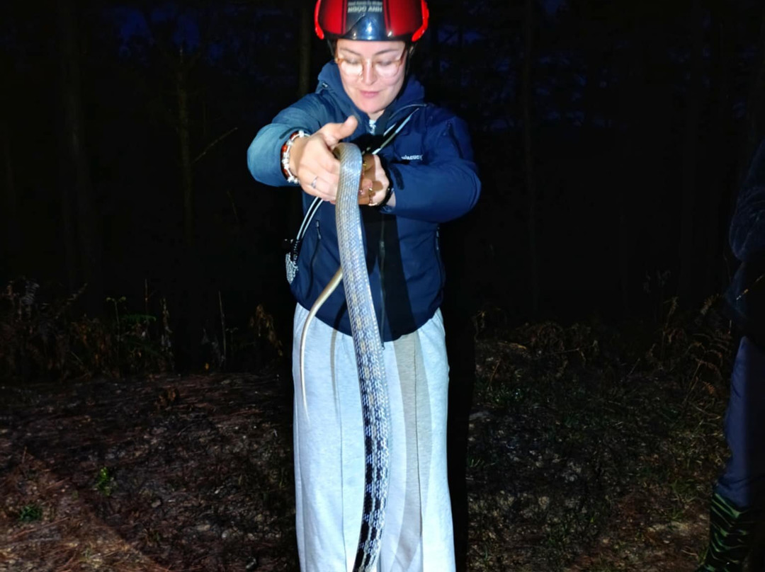 Herping Tour Vietnam - Guide Diệp Tùng-Ben Luc必去景点