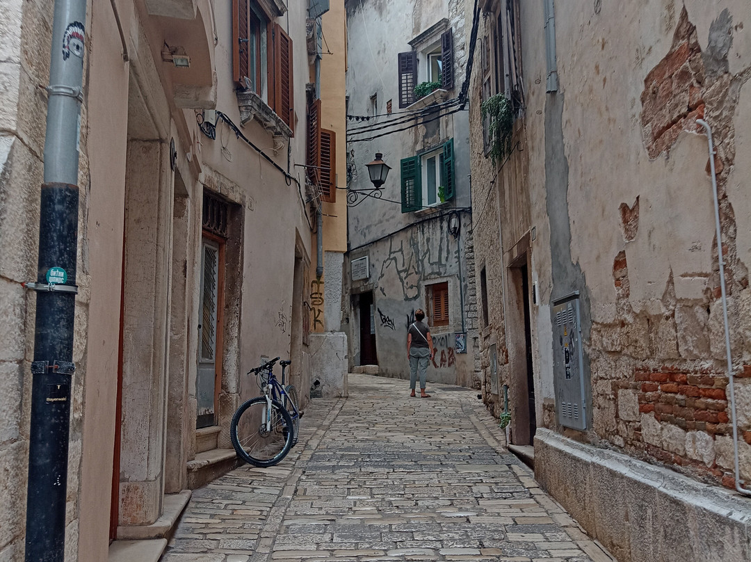 Mirador del Gibralfaro景点图片
