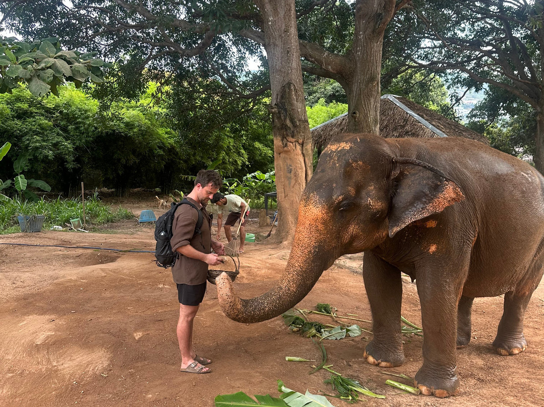 Samui Elephant Sanctuary景点图片
