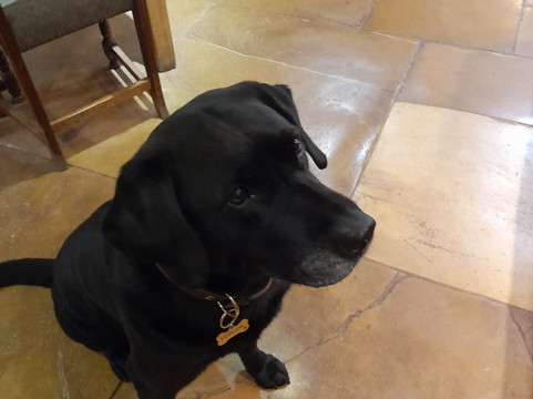 福斯桥旅馆主图