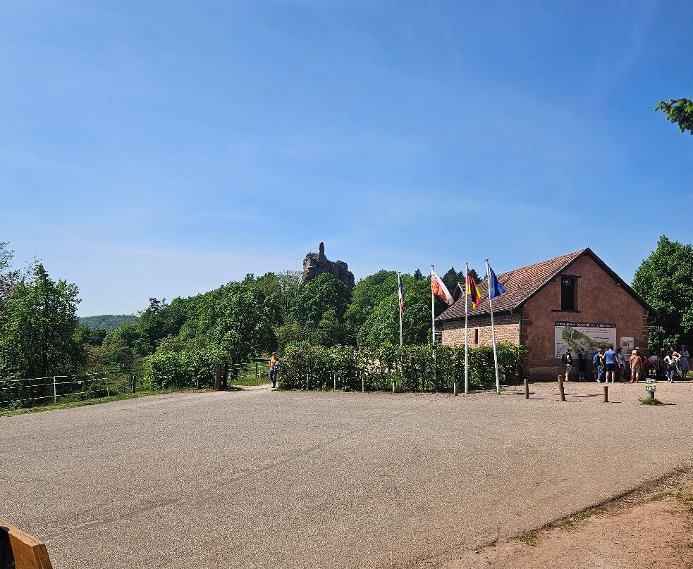 Château Fort de Fleckenstein景点图片