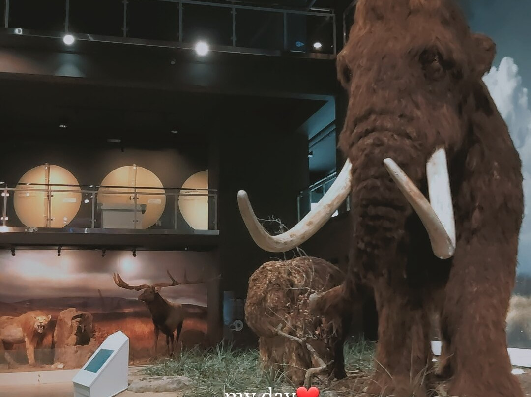 Ice Age Centre-塔尔图必去景点