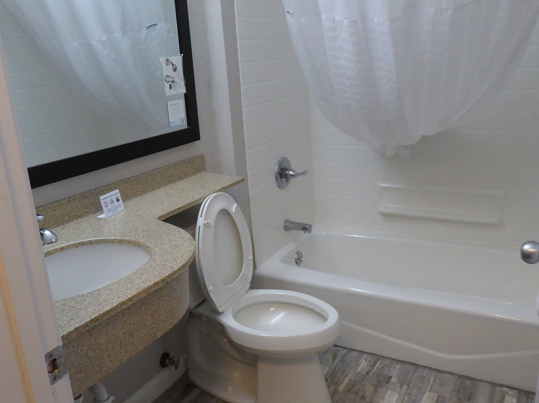 Microtel Inn & Suites by Wyndham Wilson主图