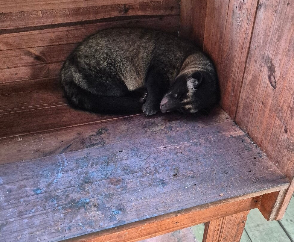 Hidden Garden Agriculture-达巴南必去景点
