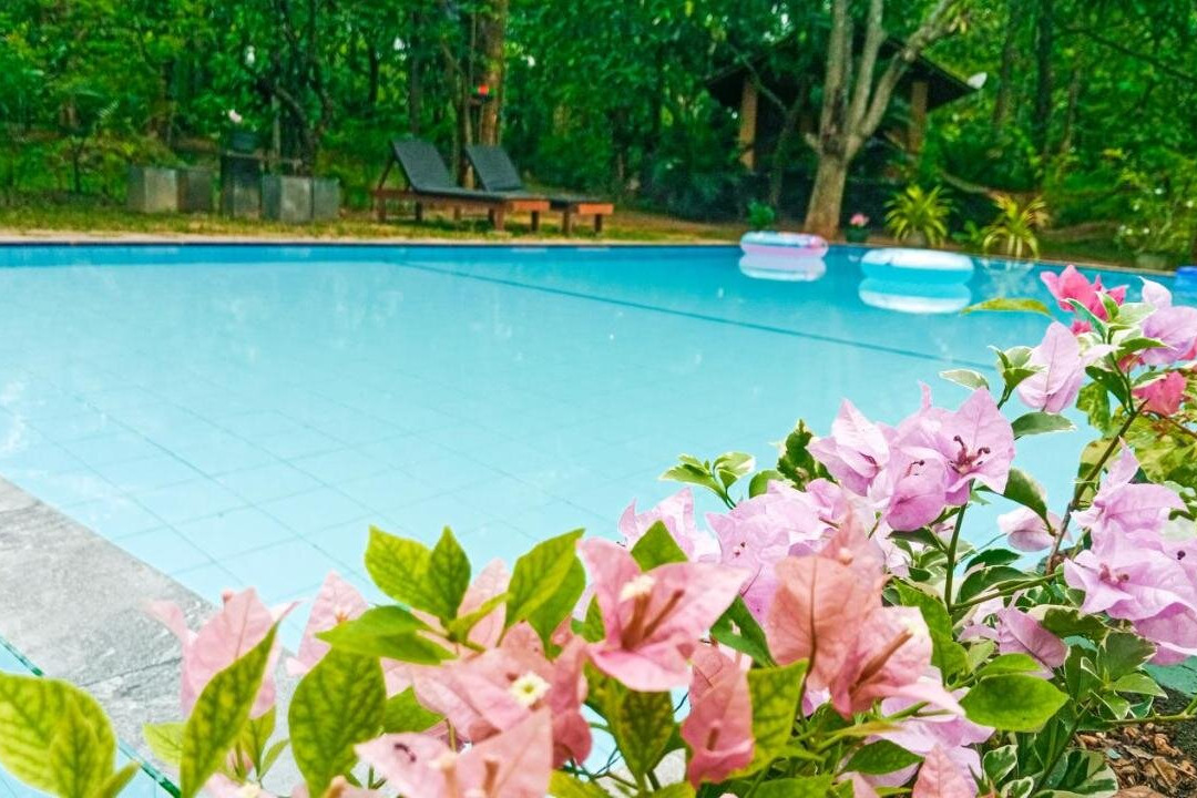 Lotus Eco Villa Sigiriya
