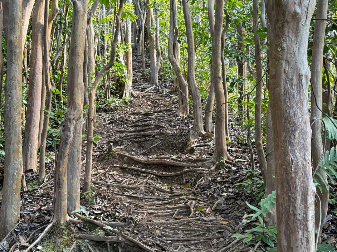 Hau'ula Loop Trail-哈乌乌拉必去景点