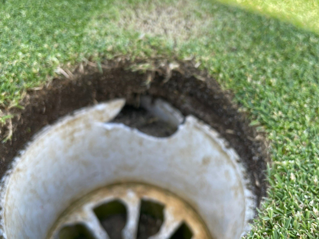 San Lorenzo Golf Course景点图片
