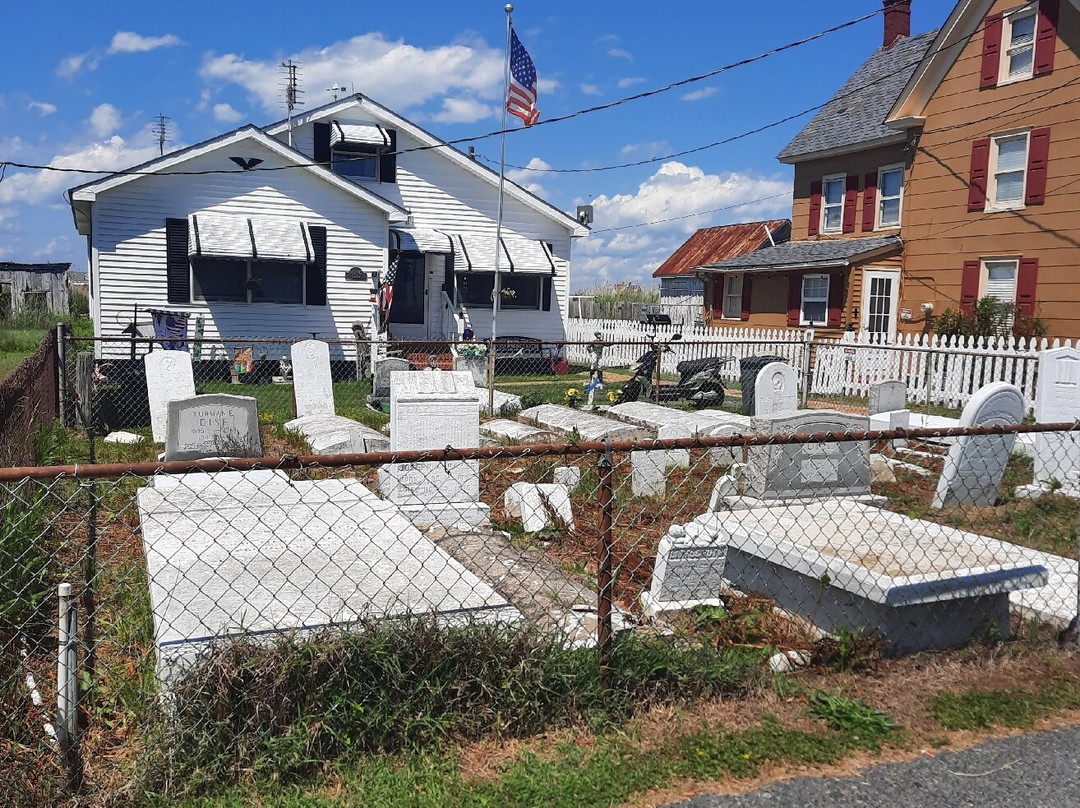 Magical Mystery Bike Tours, LLC-罗阿诺克必去景点