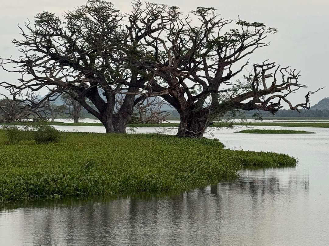 Nature Paradise Travels-科伦坡必去景点