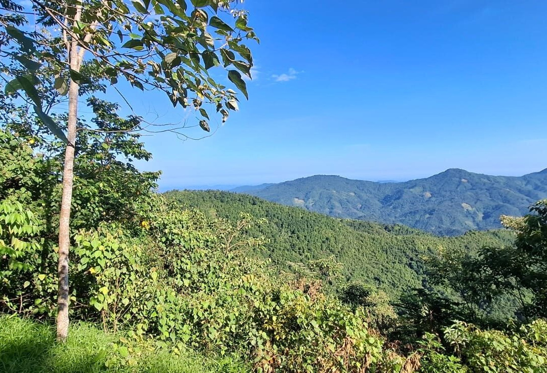 Meratus Mountains-班贾尔马辛必去景点