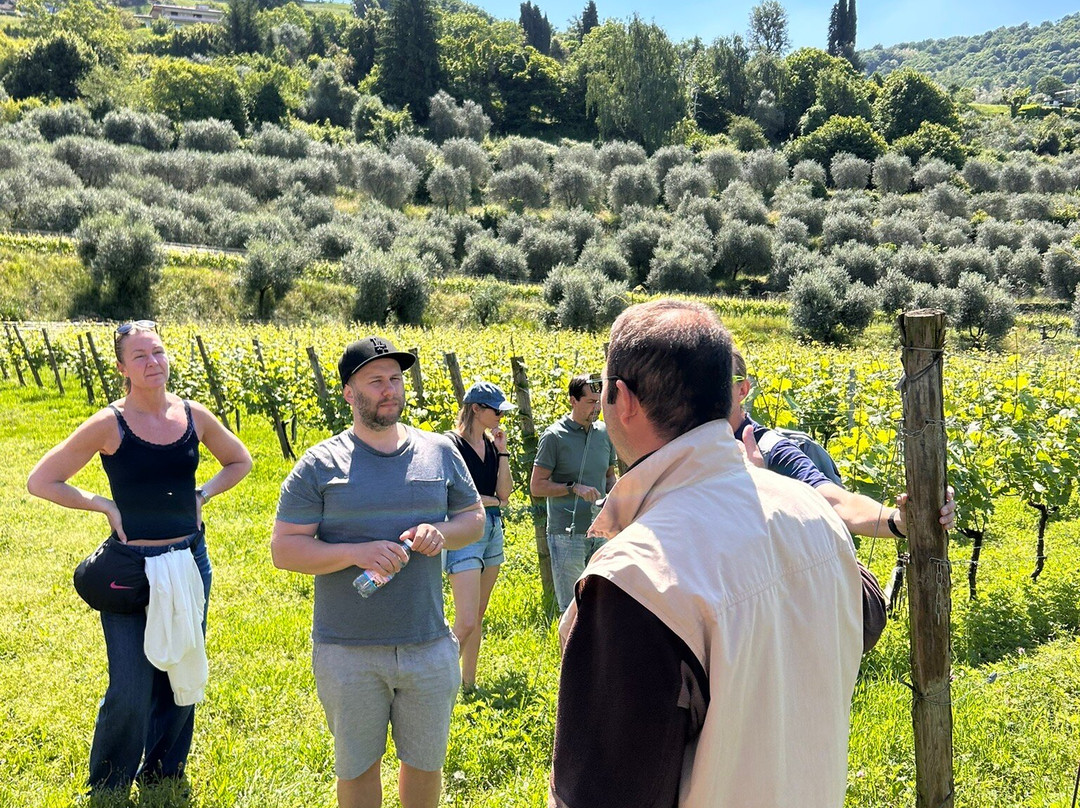 Azienda Agricola Massussi Luigi-伊塞奥必去景点