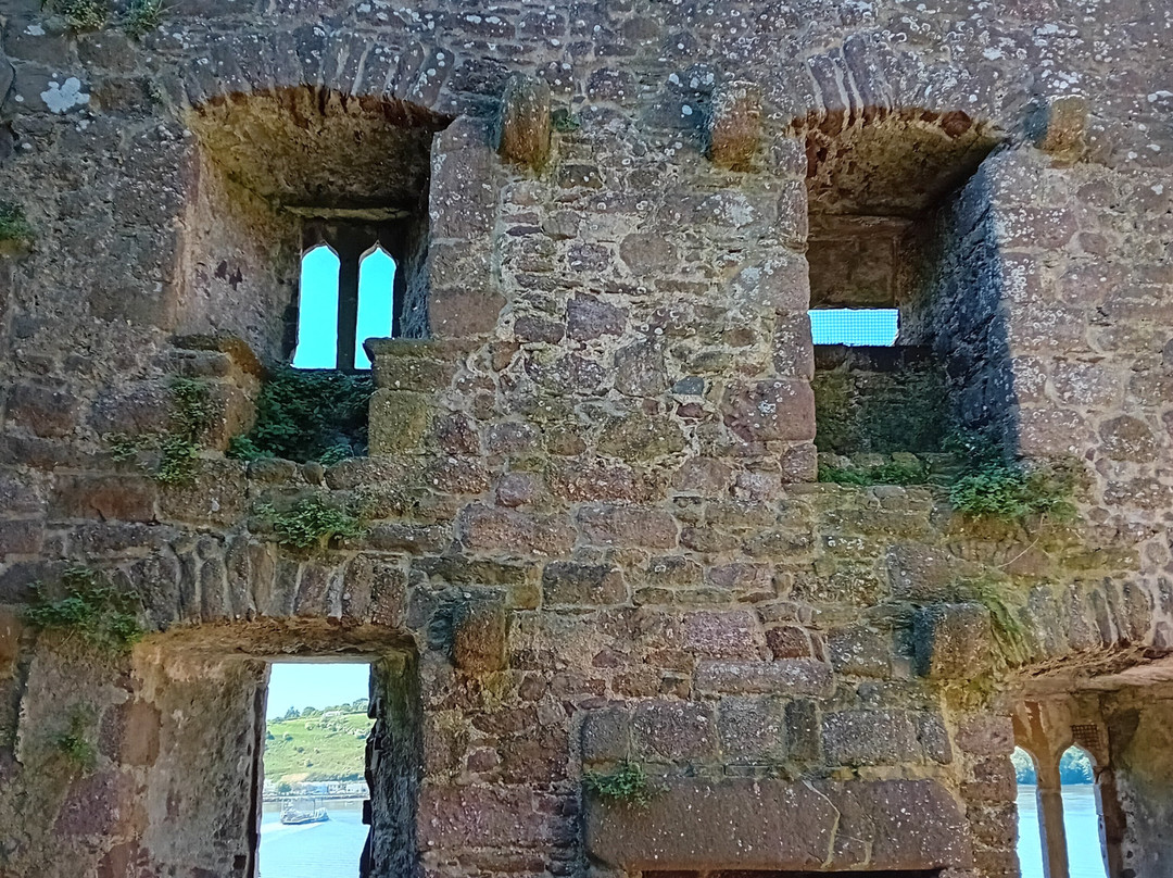 Ballyhack Castle景点图片