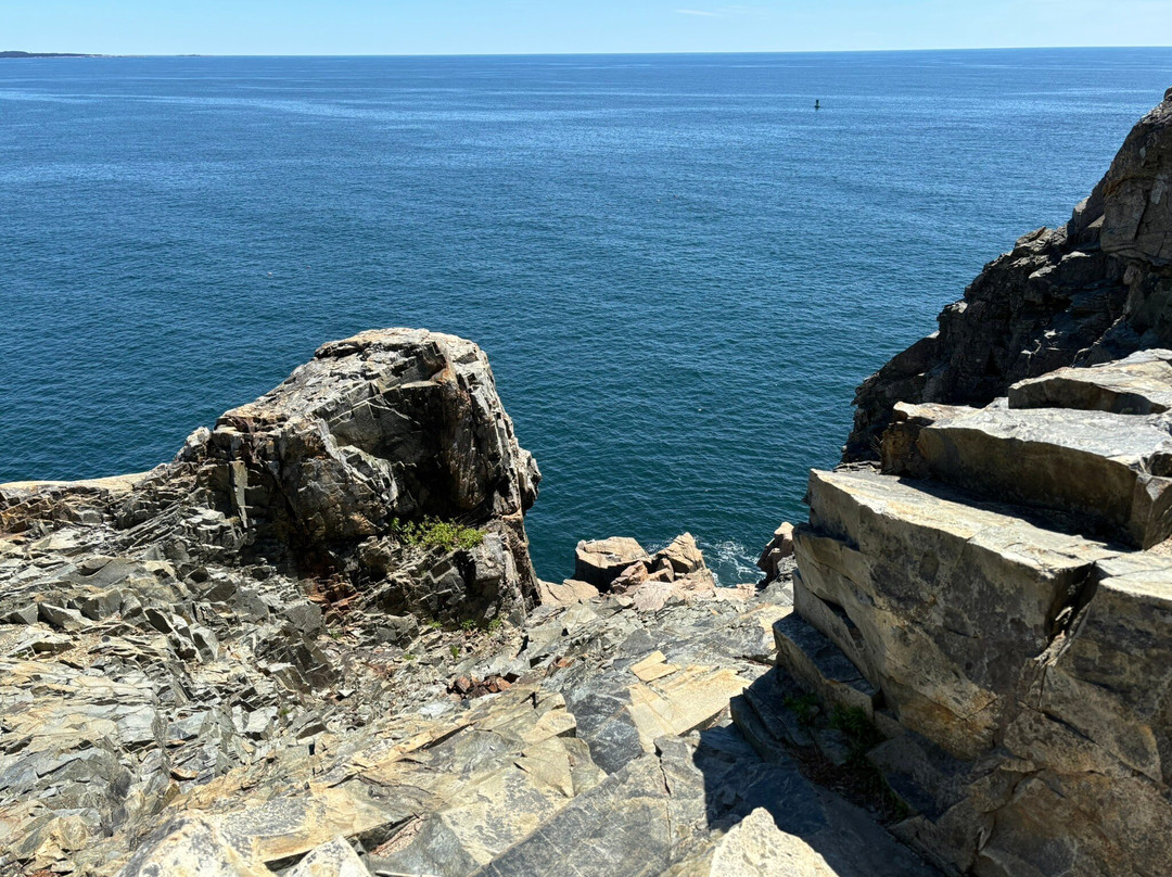 Ocean Path-阿卡迪亚国家公园必去景点