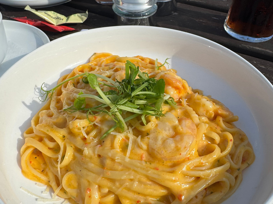 Red Lion Plawsworth主图