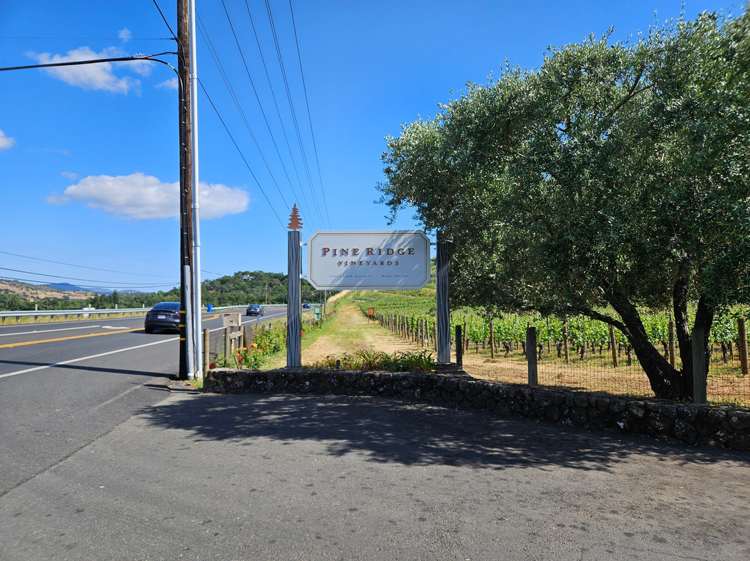 Pine Ridge Vineyards景点图片