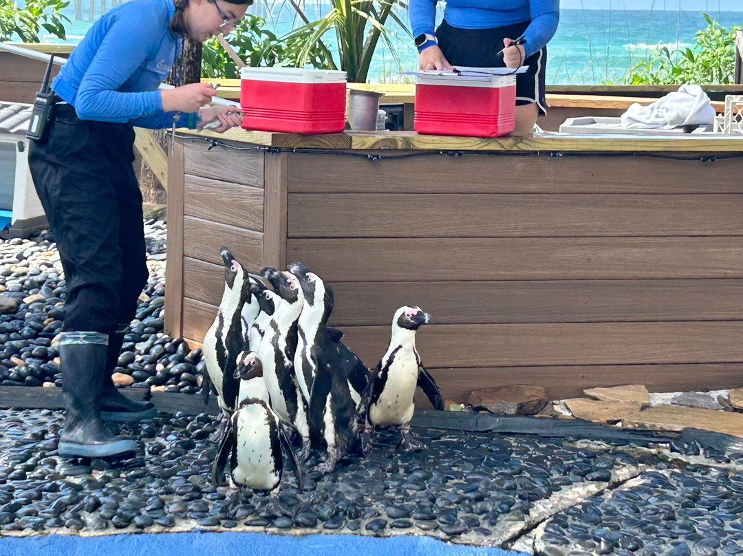 Gulfarium Marine Adventure Park-华尔顿堡滩必去景点