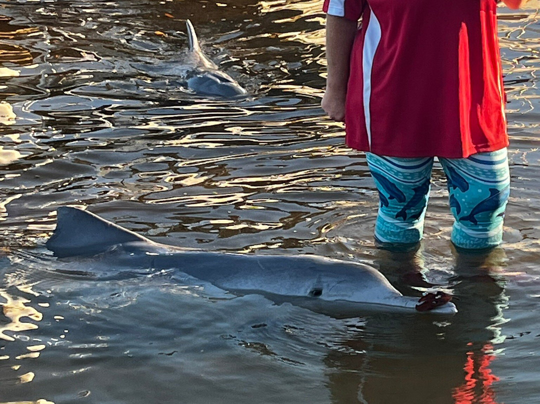 田可湾汽车旅馆主图